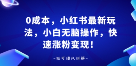 0成本，小红书最新玩法，小白无脑操作，快速涨粉变现-极客网创