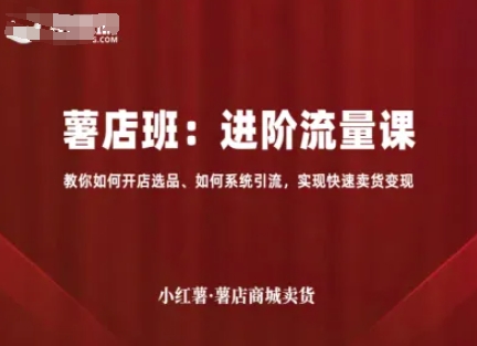 小红薯薯店商城卖货，进阶流量课，教你如何开店选品、如何系统引流，实现快速卖货变现-极客网创