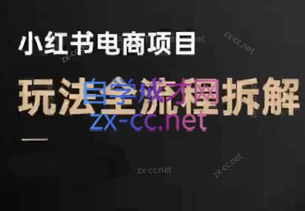 菲菲老师·小红书电商玩法(更新9月)-极客网创