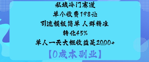 私域冷门赛道:单个收费198米引流模板简单人群精准转化45%单人一天大概收益是1k+-极客网创