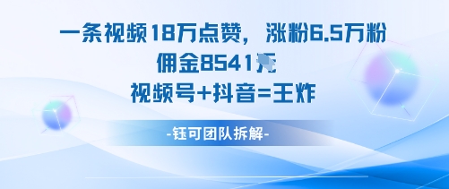 一条视频18W点赞,涨粉6.5W粉佣金8541米,视频号+抖音=王炸-极客网创