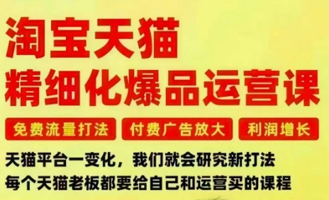 淘宝天猫精细化爆品运营课，免费流量打法-付费广告放大-利润增长-三大核心痛点，一次全部解决-极客网创