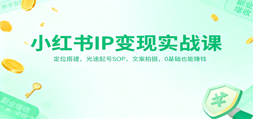 小红书IP变现实战课：定位搭建，光速起号SOP，文案拍摄，0基础也能赚钱-极客网创