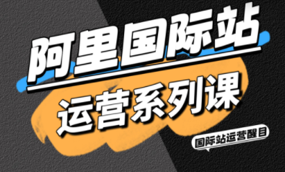 醒目老师·阿里国际站运营系列课(更新11月)-极客网创