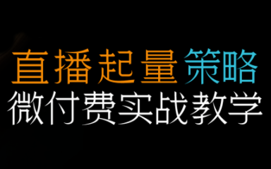 半野老师·直播带货起量与微付费必学课视频号-极客网创