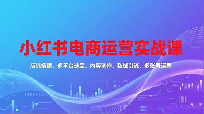 小红书电商运营实战课，店铺搭建、多平台选品、内容创作、私域引流、多账号运营等玩法-极客网创