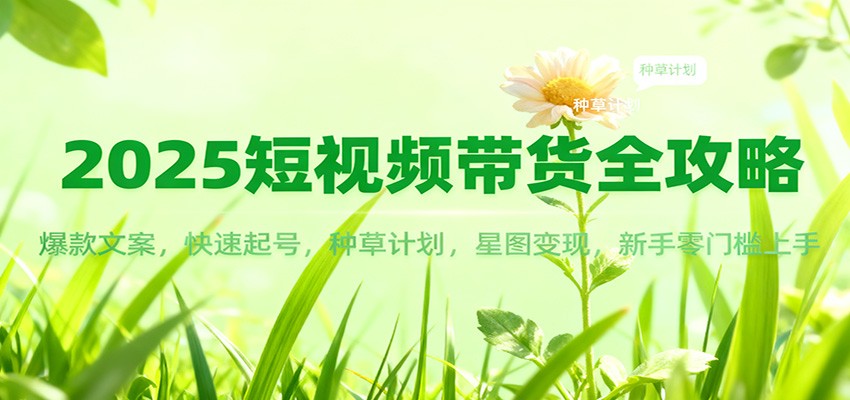 2025短视频带货全攻略：爆款文案，快速起号，种草计划，星图变现，新手零门槛上手-极客网创