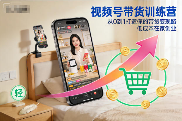 视频号带货训练营,从0到1打造你的带货变现路,低成本在家创业-极客网创