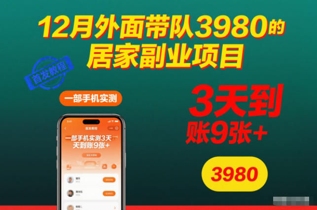 12月外面带队3980的居家副业项目，一部手机实测3天到账9张+，首发教程【揭秘】-极客网创