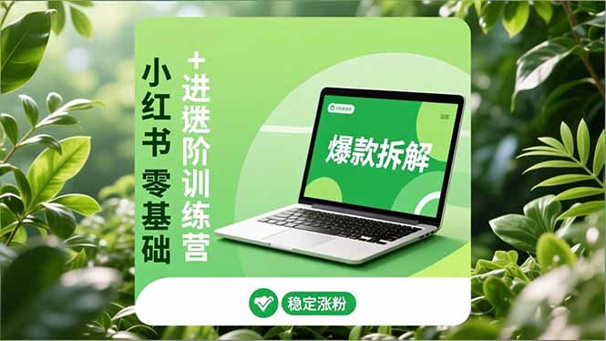 小红书零基础+高阶训练营:安全养号、爆款拆解、长效运营,实现稳定涨粉与变现-极客网创