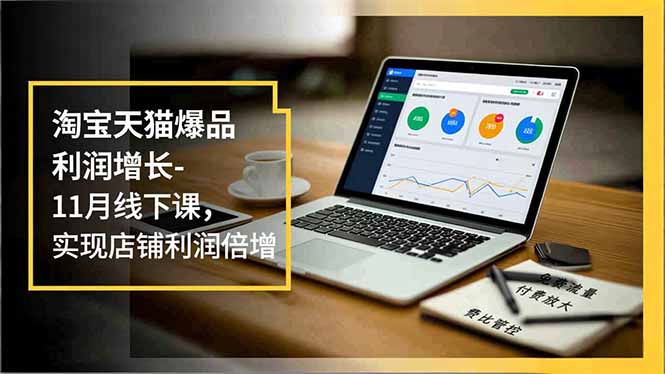 淘宝天猫爆品利润增长-11月线下课,免费流量、付费放大、费比管控,实现店铺利润倍增-极客网创