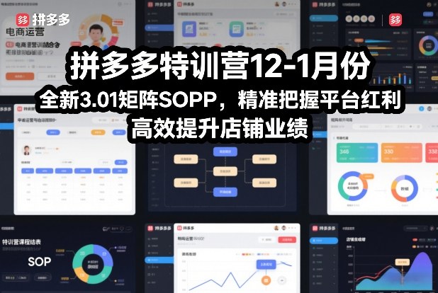 拼多多特训营12-1月份，全新3.01矩阵Sop，精准把握平台红利，高效提升店铺业绩-极客网创