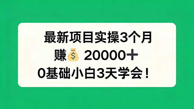 最新项目实操3个月，赚钱20000+，0基础小白3天学会！-极客网创