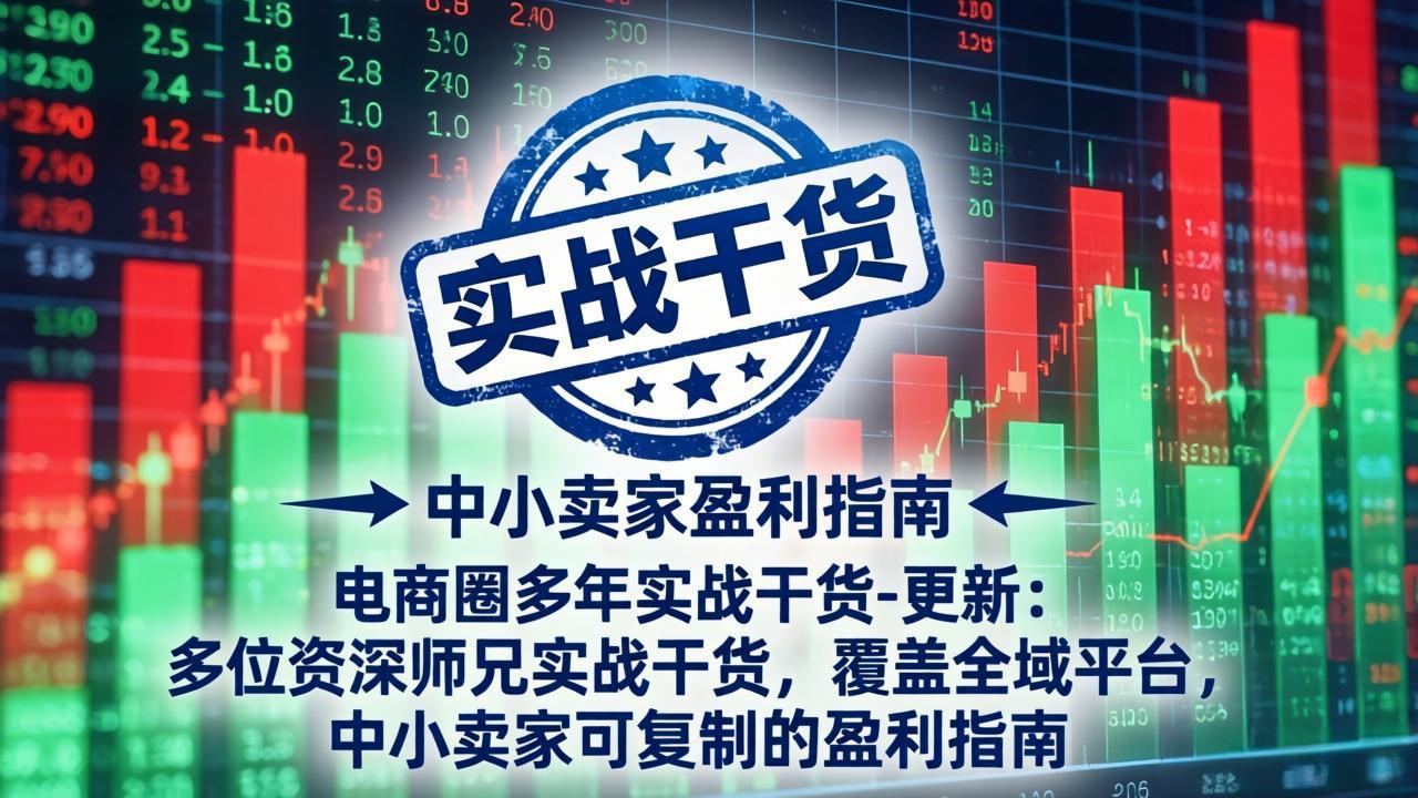 电商圈多年实战干货-更新4月：多位资深师兄实战干货，覆盖全域平台，中小卖家可复制的盈利指南-极客网创