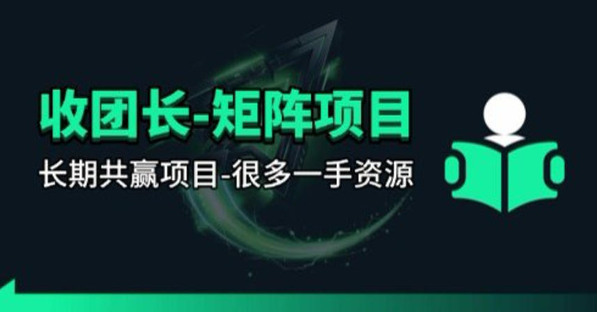 【团长合作】视频矩阵项目_招发手矩阵+剪辑师，共赢项目【揭秘】-极客网创