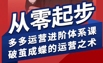 海神·拼多多运营进阶系统课(更新2026)-极客网创