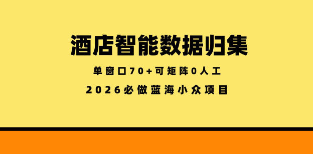 酒店智能数据归集,小众蓝海已经稳定半年之久,单窗口70+零成本矩阵开干【揭秘】-极客网创