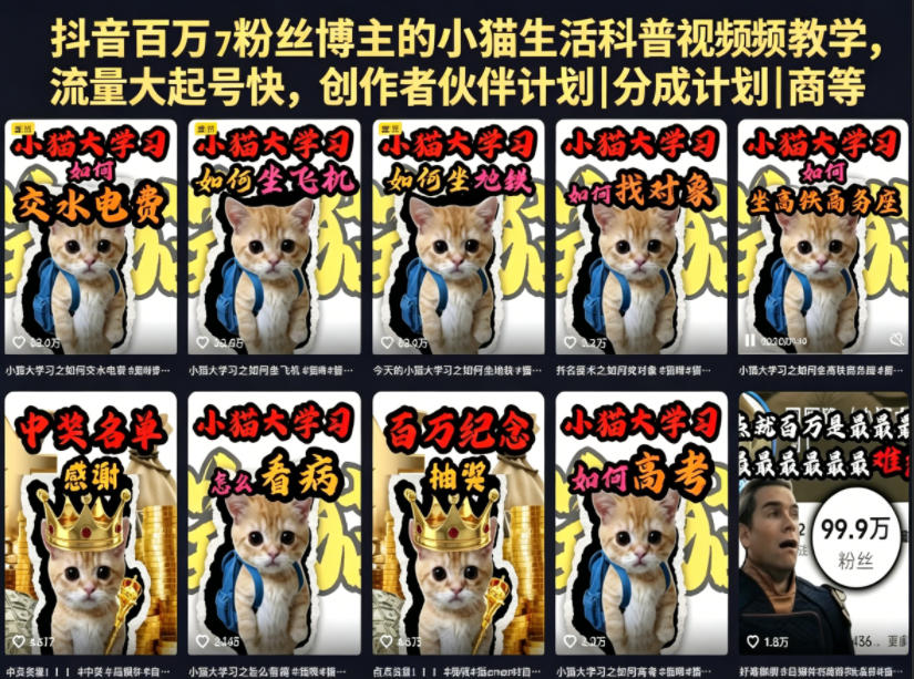 抖音百万粉丝博主的小猫生活科普视频教学，流量大起号快，创作者伙伴计划|分成计划|商单|收徒等-极客网创
