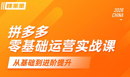 仙道电商·拼多多零基础运营实战课-极客网创