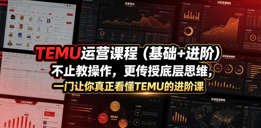 TEMU运营课程(基础+进阶)，不止教操作，更传授底层思维，一门让你真正看懂TEMU的进阶课-极客网创
