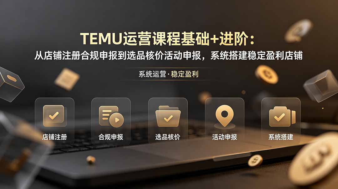 TEMU运营课程(基础+进阶-极客网创