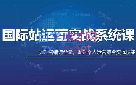 白老师·国际站运营实战系统(高质量询盘增长课)(更新)-极客网创