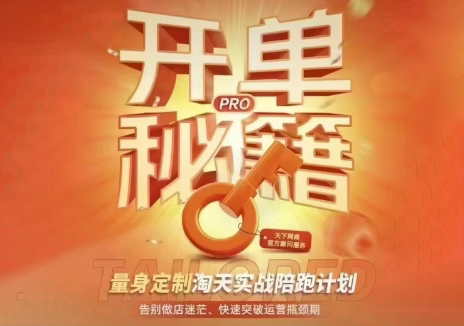 天下网商·淘宝天猫陪跑计划(更新7月)-极客网创