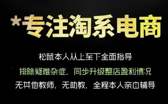 松鼠会电商VIP课程，从基础布局到高阶优化，助你掌握淘宝运营逻辑，提升店铺流量与转化(更新0809)-极客网创