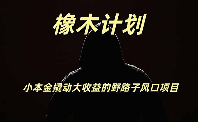 橡木计划,小投入撬动高回报的风口野路子项目,一天投入2小时左右-极客网创