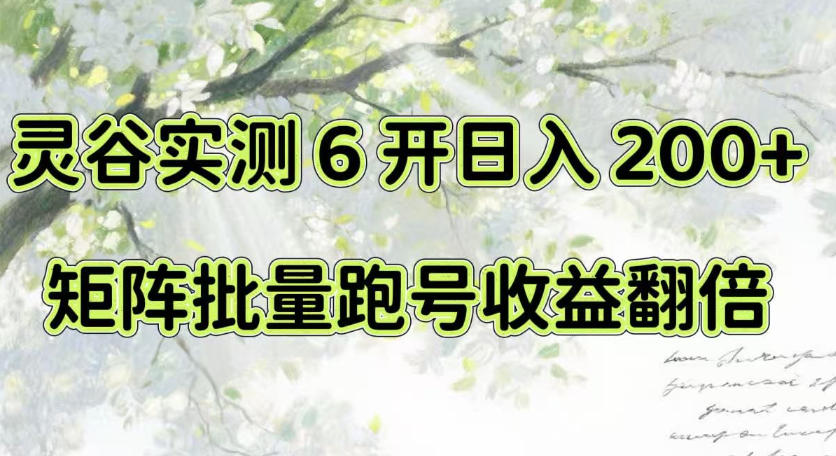 一台电脑就能做！灵谷实测6开日入200+，矩阵批量跑号收益翻倍【揭秘】-极客网创