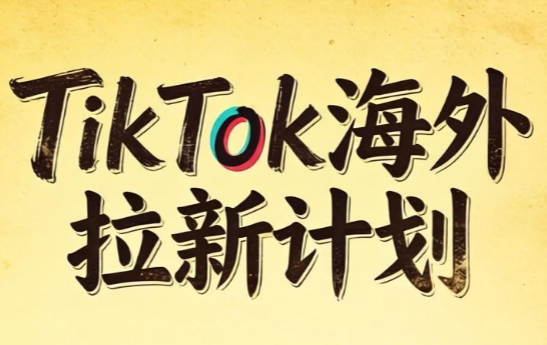 Tc联盟·TikTok海外拉新项目(更新9月)-极客网创