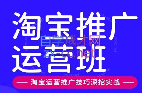 美迪电商·淘宝高级运营班+推广运营班(更新9月)-极客网创