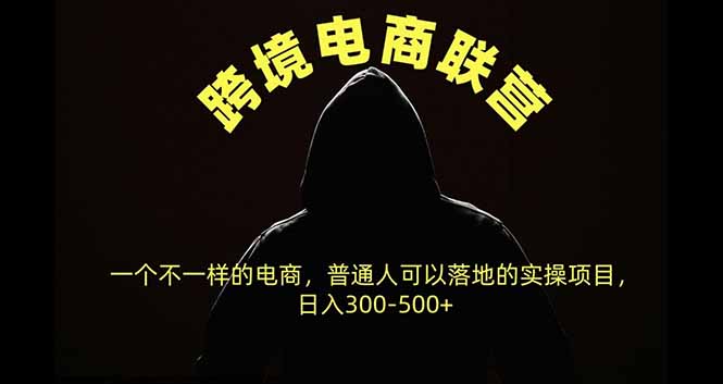 跨境电商联营,一个不一样的电商,普通人可操作日入300-500+-极客网创