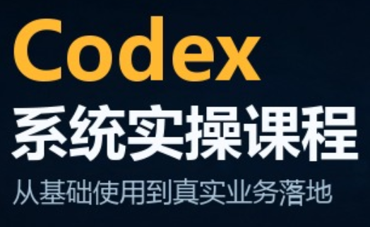 codex系统实操课程(更新10月)-极客网创