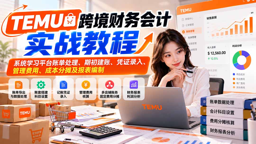 TEMU跨境财务会计实战教程：系统学习平台账单处理、期初建账、凭证录入、管理费用、成本分摊及报表编制-极客网创