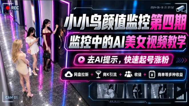 小小鸟颜值监控第四期，监控中的AI美女视频教学，去AI提示，快速起号涨粉，网盘拉新+商K引流+收徒+商单等多种收益-极客网创
