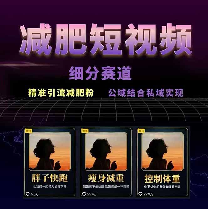 图片[1]-减肥短视频赛道运营课：素材准备-视频制作-引流变现全流程 (附素材-极客网创